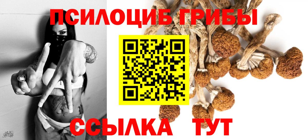 Галлюциногенные грибы мухоморы Изобильный